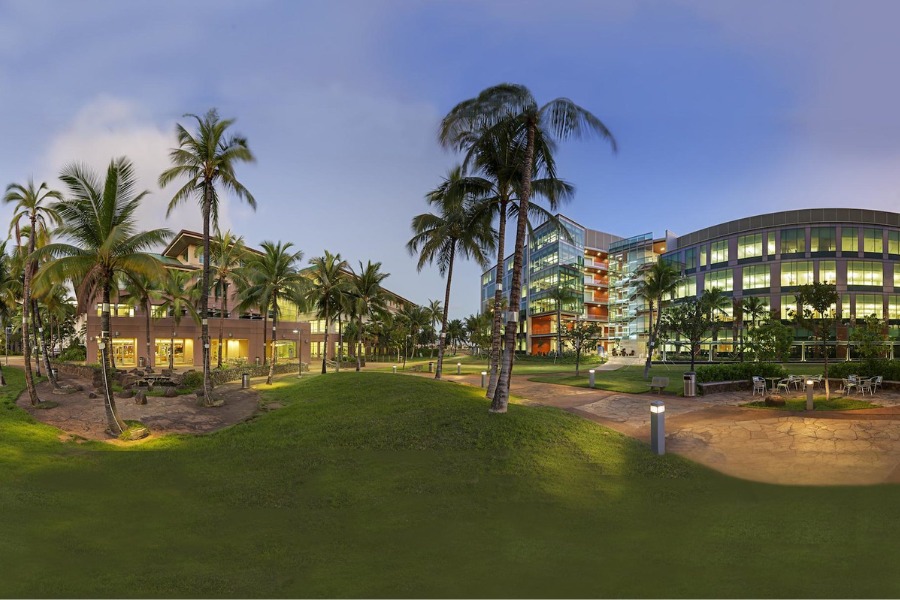 Photo credit: John A. Burns School of Medicine